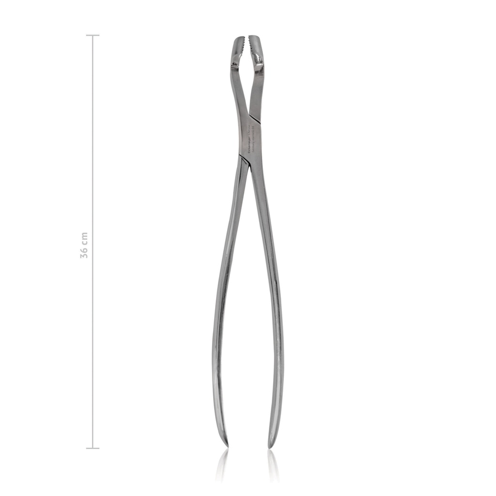 Pinza estrazione per denti da latte WORLD WIDE EQUINE, L. 36 cm