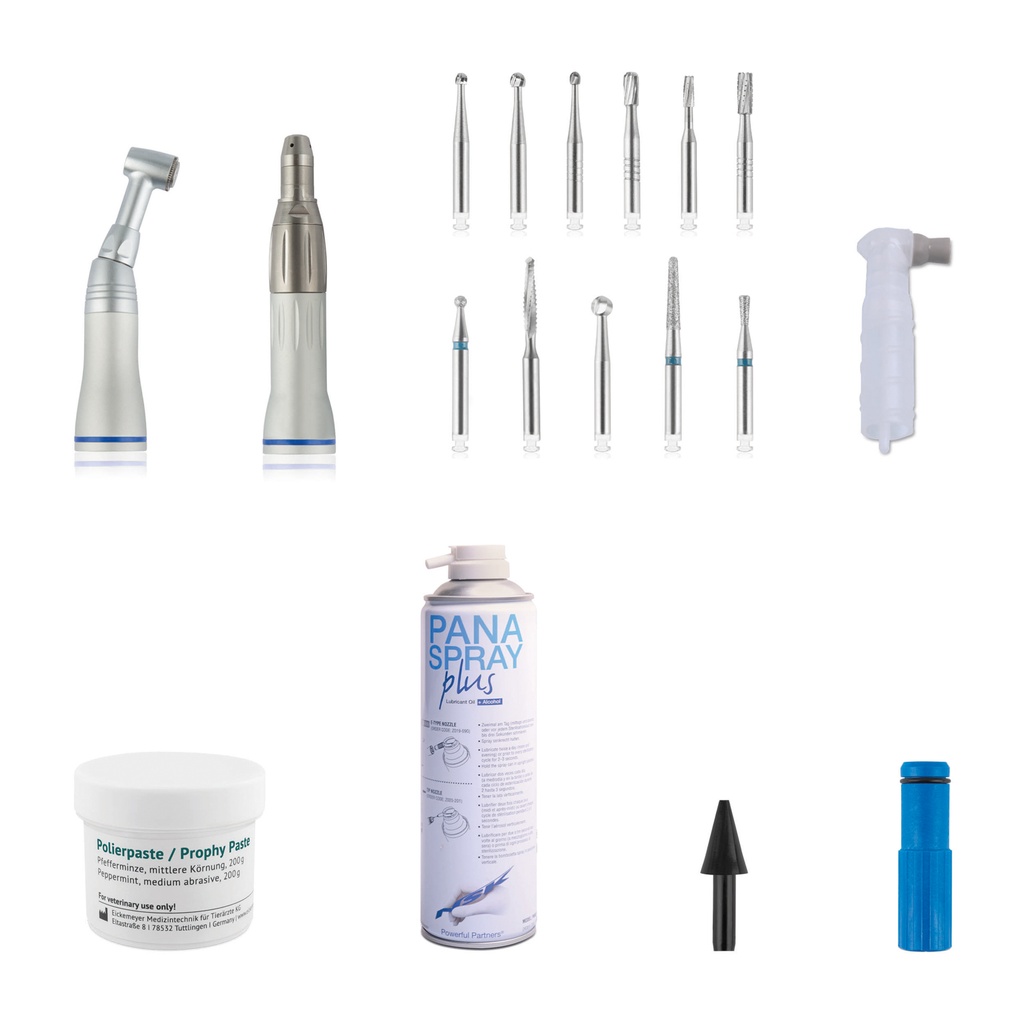 Starter kit dentale per piccoli animali composto da: 1 x 174026 contrangolo