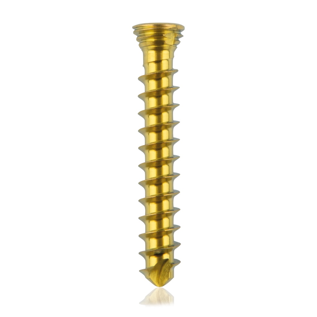 Vite bloccata in titanio, Ø2.3x 16mm multidirezionale, oro, Torx 6 autofilettante, autoperforante