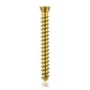 Titan- Verriegelungsschraube Ø2.3x 20mm multidirektional, gold, Torx 6 selbstschneidend, selbstbohrend