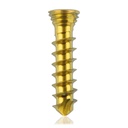 Vite bloccata in titanio,  Ø2.3x 10mm multidirezionale, oro, Torx 6 autofilettante, autoperforante