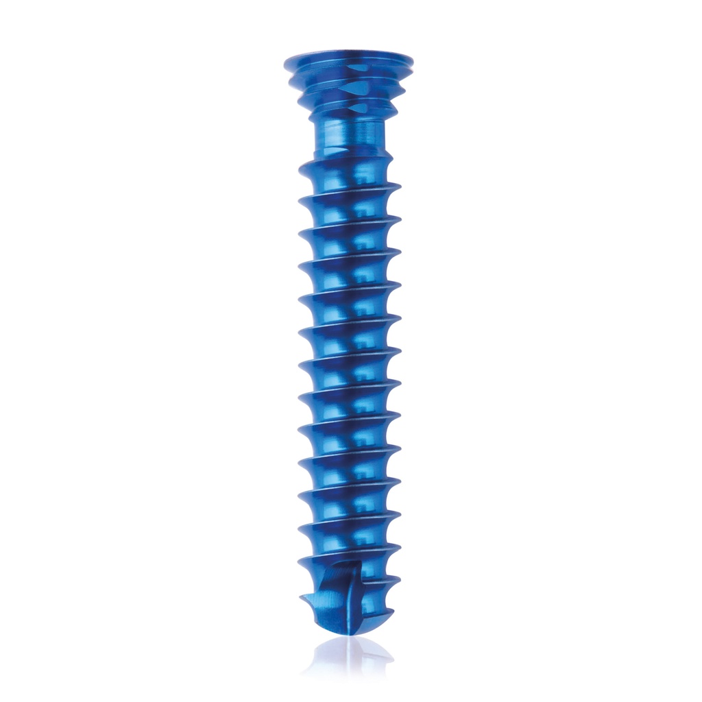 Vite bloccata in titanio Ø4.0x 22mm multidirezionale, blu, Torx 10, autofilettante, autoperforante