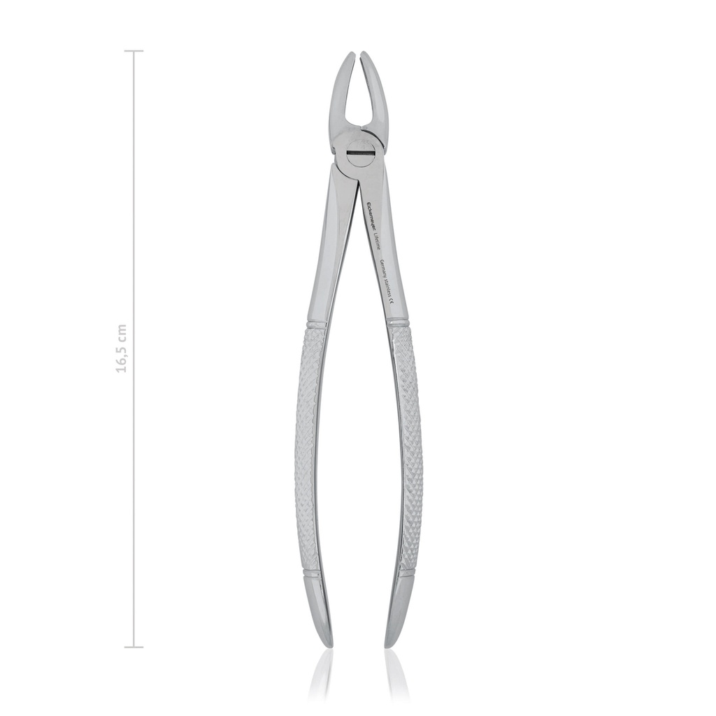 Pinza denti 16,5 cm, dritta