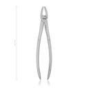 Pinza denti 16,5 cm, dritta