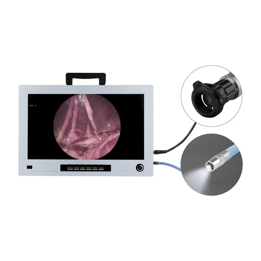 [306105] Monitor endoscopia 22", Full HD con camera CCD integrata e fonte di luce