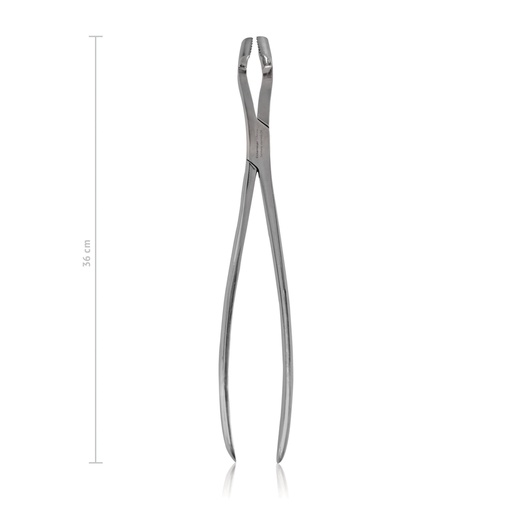 [177601502] Pinza estrazione per denti da latte WORLD WIDE EQUINE, L. 36 cm