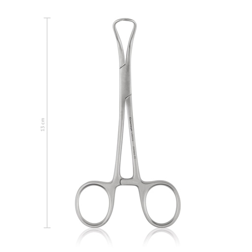 [973313] Pinza fissateli  BACKHAUS, 13 cm, LINEA ECONOMICA