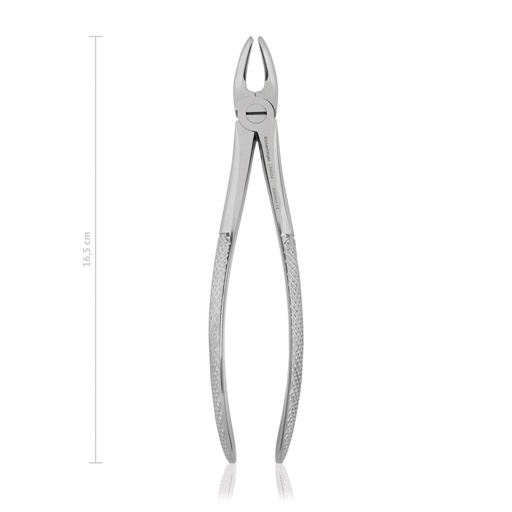 [176016] Pinza denti 16,5 cm, per cani