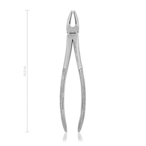 [176015] Pinza denti 16,5 cm, per cani, superficie diamantata per presa ottimale.