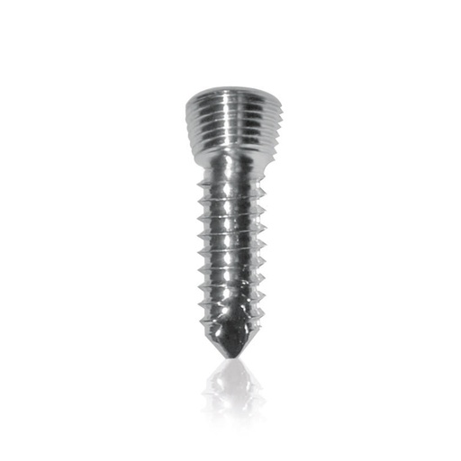 [18581027] Locking Screw D = 2,4mm, L = 20mm